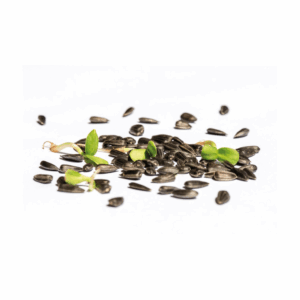 Samensprossen - Sonnenblumen 350g